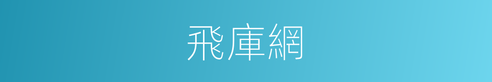 飛庫網的同義詞