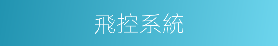 飛控系統的同義詞