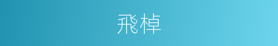 飛棹的意思