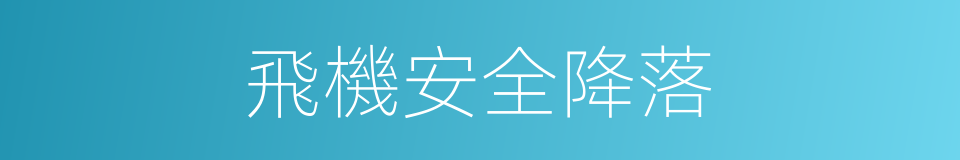 飛機安全降落的同義詞