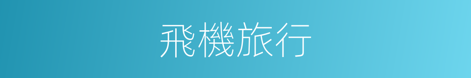 飛機旅行的同義詞