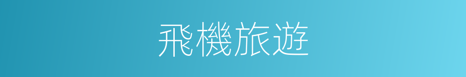 飛機旅遊的同義詞
