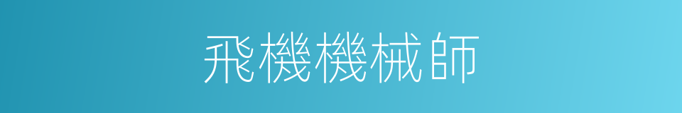 飛機機械師的同義詞