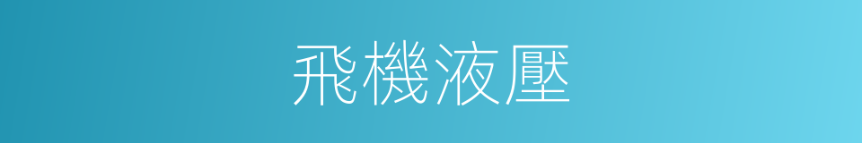 飛機液壓的同義詞