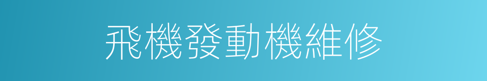 飛機發動機維修的同義詞