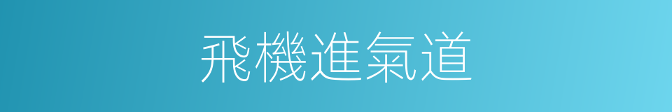 飛機進氣道的同義詞