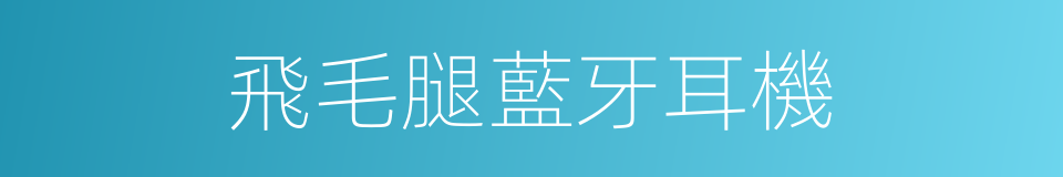 飛毛腿藍牙耳機的同義詞