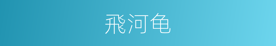 飛河龟的同義詞