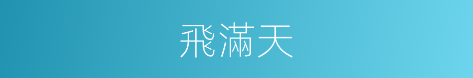 飛滿天的同義詞