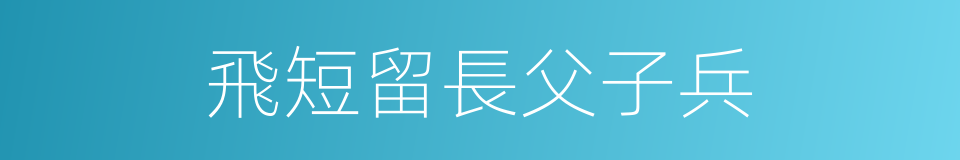 飛短留長父子兵的同義詞