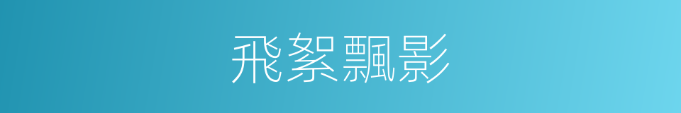 飛絮飄影的同義詞