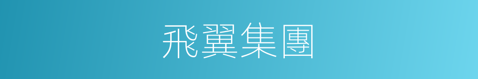飛翼集團的同義詞