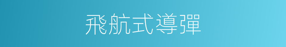 飛航式導彈的意思