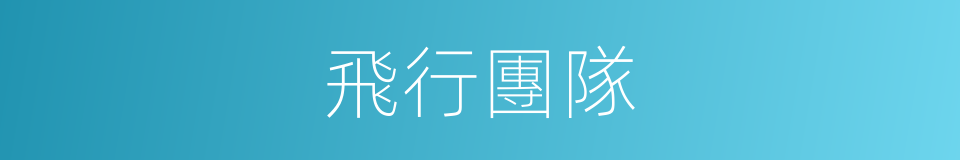 飛行團隊的同義詞