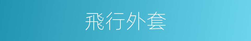 飛行外套的同義詞