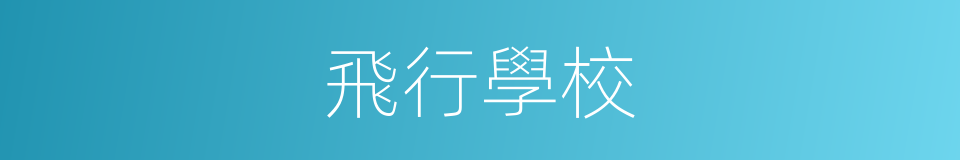 飛行學校的同義詞