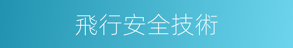 飛行安全技術的同義詞