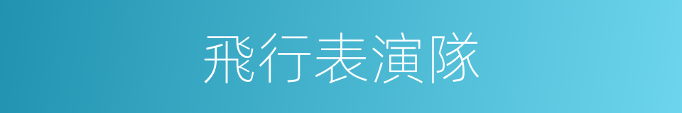 飛行表演隊的同義詞