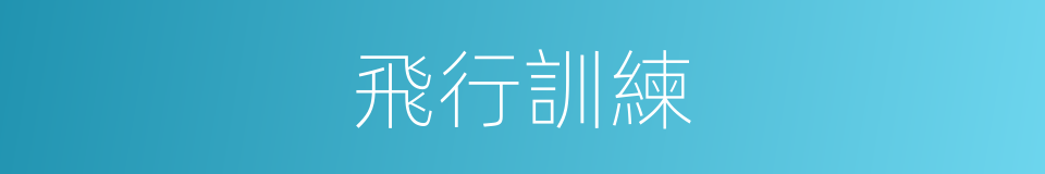 飛行訓練的同義詞
