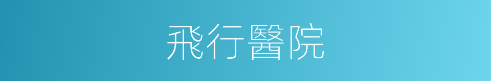 飛行醫院的同義詞