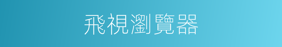 飛視瀏覽器的同義詞