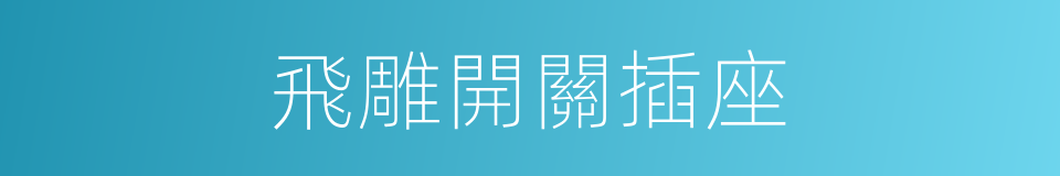 飛雕開關插座的同義詞