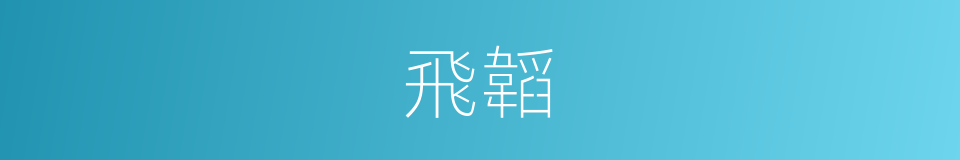 飛韜的同義詞