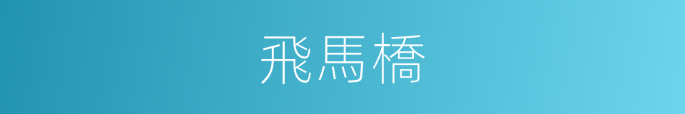 飛馬橋的同義詞