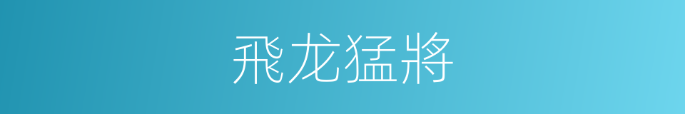 飛龙猛將的同義詞