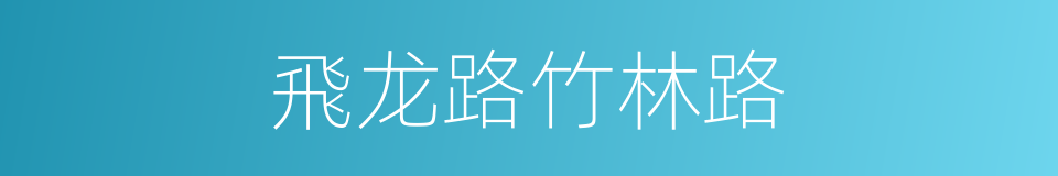 飛龙路竹林路的同義詞