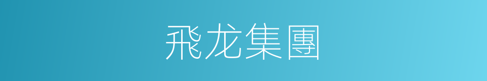 飛龙集團的同義詞