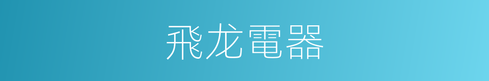 飛龙電器的同義詞
