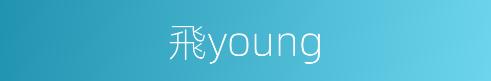 飛young的同義詞