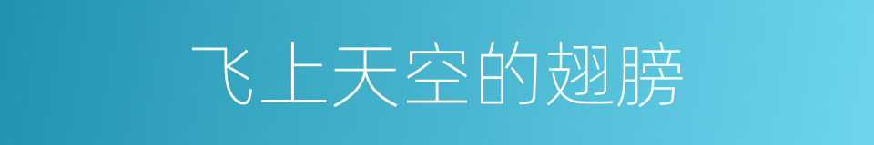 飞上天空的翅膀的同义词