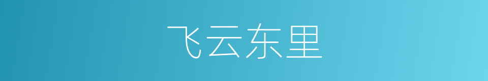飞云东里的同义词