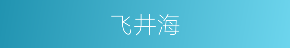 飞井海的同义词