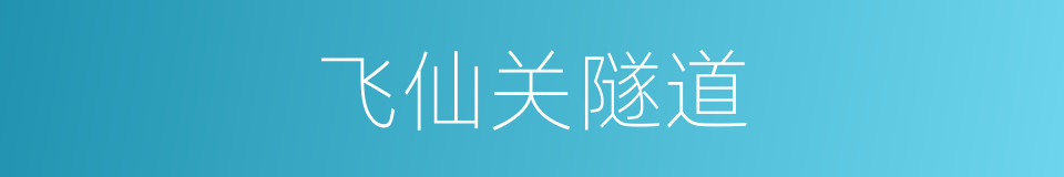 飞仙关隧道的同义词