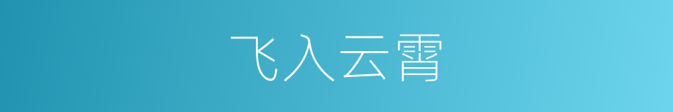 飞入云霄的同义词