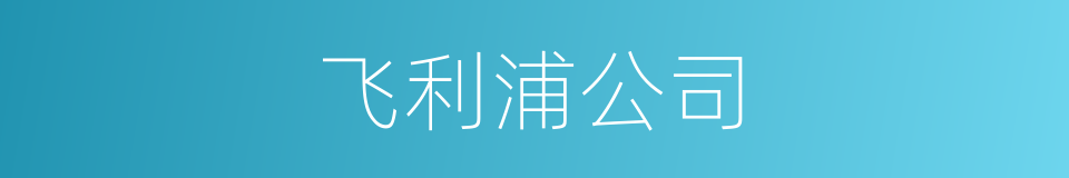 飞利浦公司的同义词