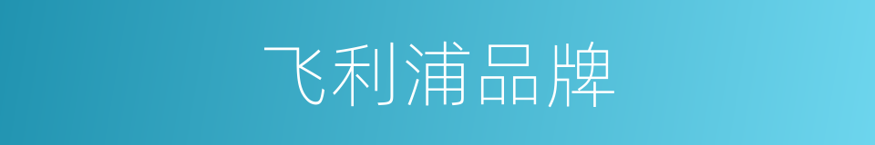 飞利浦品牌的同义词