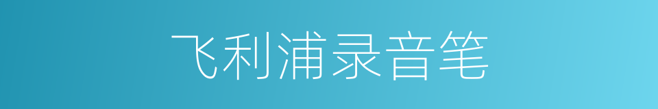 飞利浦录音笔的同义词