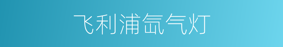 飞利浦氙气灯的同义词