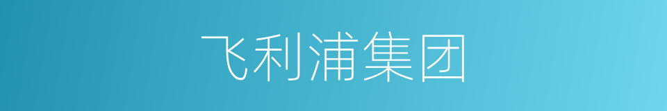 飞利浦集团的同义词