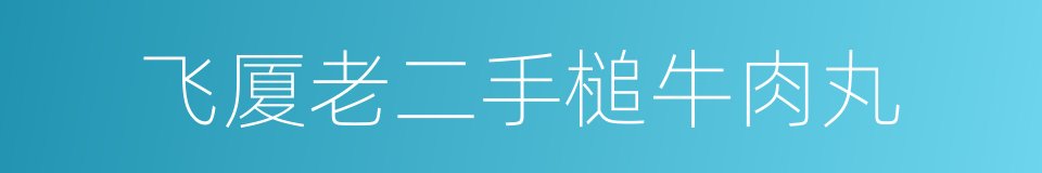 飞厦老二手槌牛肉丸的同义词