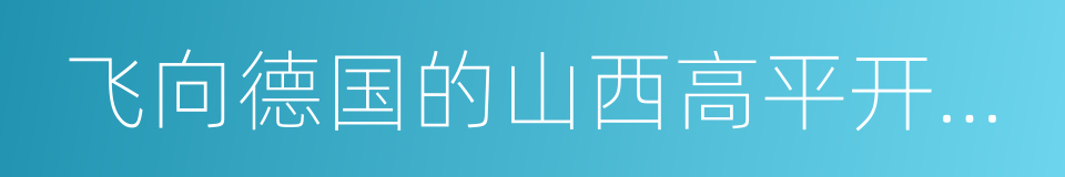 飞向德国的山西高平开化寺的同义词