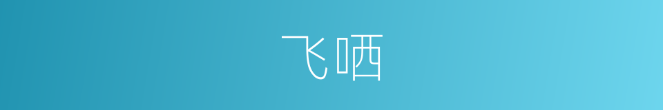 飞哂的同义词