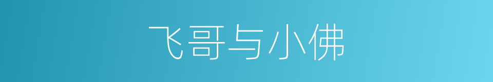 飞哥与小佛的同义词
