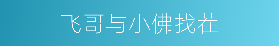 飞哥与小佛找茬的同义词