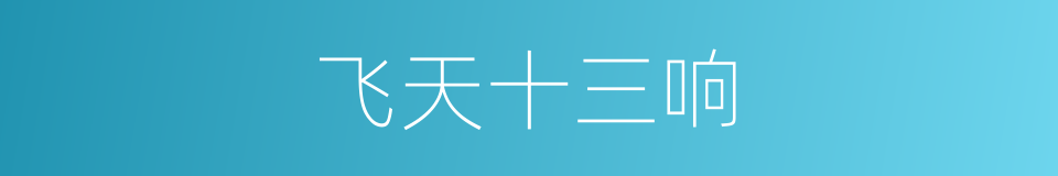 飞天十三响的同义词