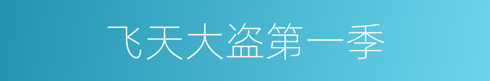 飞天大盗第一季的同义词